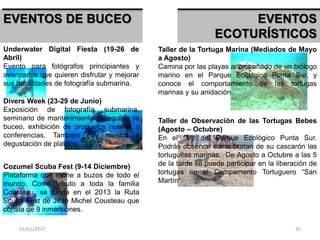 31/01/2017 35
EVENTOS DE BUCEO
Underwater Digital Fiesta (19-26 de
Abril)
Evento para fotógrafos principiantes y
avanzados que quieren disfrutar y mejorar
sus habilidades de fotografía submarina.
Divers Week (23-29 de Junio)
Exposición de fotografía submarina,
seminario de mantenimiento de equipo de
buceo, exhibición de productos nuevos y
conferencias. También hay música y
degustación de platillos.
Cozumel Scuba Fest (9-14 Diciembre)
Plataforma que reúne a buzos de todo el
mundo. Como tributo a toda la familia
Cousteau, se funda en el 2013 la Ruta
Scuba Fest de Jean Michel Cousteau que
consta de 9 inmersiones.
EVENTOS
ECOTURÍSTICOS
Taller de la Tortuga Marina (Mediados de Mayo
a Agosto)
Camina por las playas acompañado de un biólogo
marino en el Parque Ecológico Punta Sur, y
conoce el comportamiento de las tortugas
marinas y su anidación.
Taller de Observación de las Tortugas Bebes
(Agosto – Octubre)
En el faro del Parque Ecológico Punta Sur.
Podrás observar como brotan de su cascarón las
tortuguitas marinas. De Agosto a Octubre a las 5
de la tarde se puede participar en la liberación de
tortugas en el Campamento Tortuguero “San
Martín”.
 