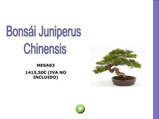 MESA03
1415,50€ (IVA NO
   INCLUIDO)
 