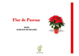 Flor de Pascua
            NAV01
  22,00€ (IVA NO INCLUIDO)
 