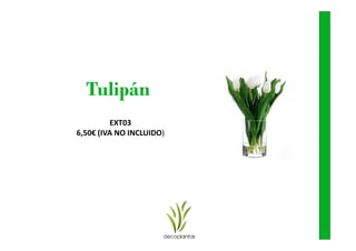 Tulipán
         EXT03
6,50€ (IVA NO INCLUIDO)
 