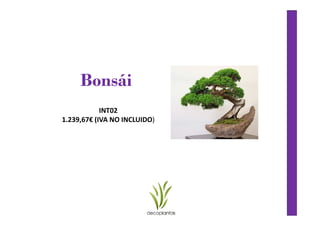 Bonsái
            INT02
1.239,67€ (IVA NO INCLUIDO)
 