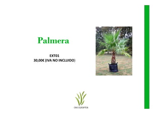 Palmera
          EXT01
30,00€ (IVA NO INCLUIDO)
 