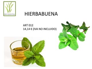 HIERBABUENA 
ART 012 
14,14 € (IVA NO INCLUIDO) 
 