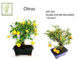 Citrus 
ART 014 
63,00€ (IVA NO INCLUIDO) 
“10 años” 
 