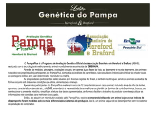 O PampaPlus é o Programa de Avaliação Genética Oficial da Associação Brasileira de Hereford e Braford (ABHB),
realizado com a tecnologia de melhoramento animal mundialmente reconhecida da EMBRAPA.
Através de medidas, pesagens, avaliações visuais, em apenas duas fases da vida, ao desmame e no pós desmame, dos animais
nascidos nas propriedades participantes do PampaPlus, somados as análises de parentesco, são calculados índices para indicar ao criador quais
as vantagens obtidas em usar determinado reprodutor ou matriz.
As propriedades participantes estão situadas em diversas regiões do Brasil, e também no Uruguai, sendo os animais avaliados de
forma conjunta sob diferentes condições de clima, alimentação e manejo.
Apesar dos participantes do PampaPlus avaliarem cerca de 12 características em cada animal, incluindo área de olho de lombo,
aprumos, características sexuais etc., a ABHB, entendendo a necessidade de se melhorar os plantéis de bovinos de corte brasileiros, buscou, ao
confeccionar o presente relatório, simplificar a leitura dos dados apresentados, de forma a facilitar o trabalho do produtor que deseja utilizar as
informações nele contidas para melhorar o seu gado.
Então, ao adquirir um reprodutor avaliado pelo PampaPlus, está se comprando/utilizando um animal cujos seus índices de
desempenho foram medidos sob os mais diferenciados sistemas de produção, isto é, um animal capaz de se desempenhar bem no sistema
de produção do comprador.
 