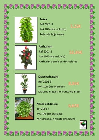 Potus
Ref 2001-1
IVA 10% (No incluido)
Potus de hoja verde
Anthurium
Ref 2001-2
IVA 10% (No incluido)
Anthurim acaule en dos colores
Dracena fragans
Ref 2001-3
IVA 10% (No incluido)
Dracena Fragans o tronco de Brasil
Planta del dinero
Ref 2001-4
IVA 10% (No incluido)
Portulacaria, o planta del dinero
 