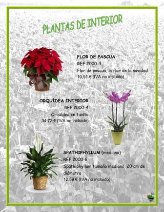 FLOR DE PASCUA
REF 2000-3
Flor de pascua, la flor de la navidad
10,51 € (IVA no incluido)
ORQUÍDEA INTERIOR
REF 2000-4
Orquídea en tiesto
34,72 € (IVA no incluido)
SPATHIPHYLLUM (mediano)
REF 2000-8
Spathiphyllum tamaño mediano, 20 cm de
diámetro
12,59 € (IVA no incluido)
 