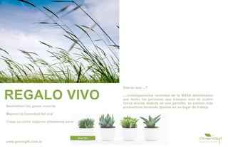 Sabías que....?


REGALO VIVO                                           ....investigaciones recientes de la NASA demiestrasn
                                                      que todas las personas que trabajan más de cuatro
                                                      horas diarias delante de una pantalla, se sienten más
Neutralizan los gases nocivos                         productivas teniendo plantas en su lugar de trabajo

Mejoran la humedad del aire

Crean un clima intyerior totalmente sano



                                           Aloe Mix
www.greengift.com.ar
 