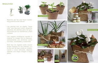 REGALO VIVO



                                                                        Set de Té Orgánico




                                            Planta Suculenta


    Razones por las que hacer marke-
    ting promocional natural


    Las plantas son un regalo “larga
    vida” que hay que cuidar, elegimos
    especies de plantas para las pro-                                   Planta de Estación
    mociones por su resistencia y fácil
    cuidado

    Los regalos ecológicos ayudan a
    mejorar la imagen de la empresa,
    asociandolas con términos como
    reciclaje, reutilizable y sostenible

    Este tipo de regalos suele causar      Variedad de Aloe
    mayor impacto en los clientes, y a
    la vez son de bajo coste en compa-
    ración a otros artículos, dejando
    además una mejor imagen a largo
    plazo




                                           Suculentas          cactus
 