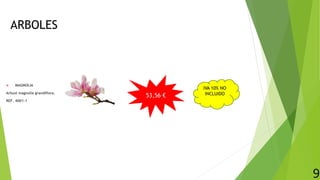 ARBOLES
 MAGNOLIA
Arbust magnolia grandiflora.
REF. 4001-1
9
53,56 €
IVA 10% NO
INCLUIDO
 