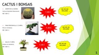 CACTUS I BONSAIS
 ASIENTO DE LA SUEGRA
Cactus de grandes dimensiones.
REF. 5001-2
 PINUS PENTAPHYLLA ( 12 AÑOS)
Pino en miniatura.
REF. 5001-3
 MALUS (17 AÑOS)
Pomero en miniatura.
REF. 5001-4
1
IVA 10% NO
INCLUIDO
IVA 10% NO
INCLUIDO
IVA 10% NO
INCLUIDO
7,48 €
7,48 €
7,48 €
 