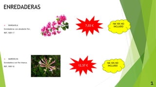 ENREDADERAS
 BUNGAVILA
Enredaderas con abudante flor.
REF. 5001-7
 MARESELVA
Enredadera con flor blanca.
REF. 5001-8
1
7,03 €
12,57 €
IVA 10% NO
INCLUIDO
IVA 10% NO
INCLUIDO
 