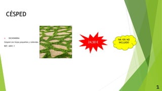 CÉSPED
 DICHONDRIA
Césped con hojas pequeñas y redondas.
REF. 6001-1
1
24,50 €
IVA 10% NO
INCLUIDO
 