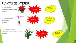 PLANTAS DE INTERIOR
 FLOR DE PASCUA
Flor de pascua, la flor de la navidad.
REF. 2000-3
 ORQUIDEA INTERIOR
Orquidea de tiesto.
REF. 2000-4
 SPATHIPHYLLUM ( MEDIANO )
Spathiphyllum tamaño mediano, 20 cms diametro.
REF. 2000-5
10,51 €
12,59 €
34,72 €
3
IVA 10% NO
INCLUIDO
IVA 10% NO
INCLUIDO
IVA 10% NO
INCLUIDO
 