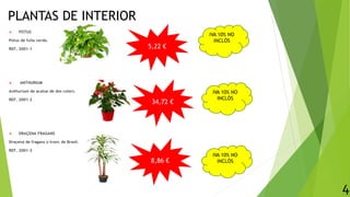 PLANTAS DE INTERIOR
 POTUS
Potus de fulla verda.
REF. 2001-1
 ANTHURIUM
Anthurium de acalue de dos colors.
REF. 2001-2
 DRAÇENA FRAGANS
Draçena de fragans o tronc de Brasil.
REF. 2001-3
5,22 €
8,86 €
4
34,72 €
IVA 10% NO
INCLÒS
IVA 10% NO
INCLÒS
IVA 10% NO
INCLÒS
 