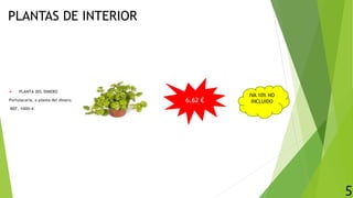 PLANTAS DE INTERIOR
 PLANTA DEL DINERO
Portulacaria, o planta del dinero.
REF. 1000-4
6,62 €
5
IVA 10% NO
INCLUIDO
 