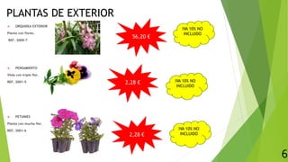 PLANTAS DE EXTERIOR
 ORQUIDEA EXTERIOR
Planta con flores.
REF. 2000-7
 PENSAMIENTO
Viola con triple flor.
REF. 2001-5
 PETUNIES
Planta con mucha flor.
REF. 2001-6
56,20 €
2,28 €
2,28 €
6
IVA 10% NO
INCLUIDO
IVA 10% NO
INCLUIDO
IVA 10% NO
INCLUIDO
 