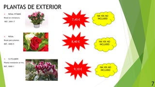 PLANTAS DE EXTERIOR
 ROSAL PITIMINÍ
Rosal en miniatura.
REF. 2001-7
 ROSAL
Rosal para plantar.
REF. 3000-5
 CLYCLAMEN
Planta resistente al frío.
REF. 5000-1
7
7,45 €
8,40 €
9,10 €
IVA 10% NO
INCLUIDO
IVA 10% NO
INCLUIDO
IVA 10% NO
INCLUIDO
 