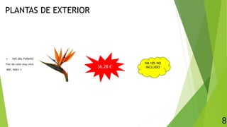 PLANTAS DE EXTERIOR
 AVE DEL PARAISO
Flor de color muy vivo.
REF. 5001-1
8
36,28 €
IVA 10% NO
INCLUIDO
 