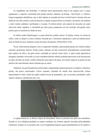 Catálogo Classe INSECTA.
Página 19
As mandíbulas são atrofiadas. A abertura bucal (prestomum) acha-se em relação com 2 canais
superpostos: o superior, constituido pela porção anterior, tubulosa, da faringe - funil bucal- e o inferior,
longa invaginação tubuliforme, que se abre adiante no assoalho da boca ou funil bucal e termina atrás em
fundo do saco dos estiletes, neste diverticulo se alojam as peças bucais ou estiletes, um dorsal, um mediano
e outro ventral, adatados à perfuração e á sucção. O estilete dorsal, com aspecto de crescente em seção
transversa (tubo sugador), é constituído por duas peças justapostas em sua extensão, divergindo atrás,
porém, para se inserirem no fundo do saco.
O estilete medio (hipofaringe) é a parte distal do conduto salivar. O estilete ventral, em forma de
calha e onde se alojam os outros estiletes, formado por 2 elementos superpostos, cada um tambem preso
atrás ao fundo do saco, mediante um par de ramos divergentes. (PEACOCK 1918).
Torax, relativamente pequeno, com os segmentos fundidos, apresentando apenas um esternito (placa
esternal), geralmente indiviso. Pernas curtas, robustas, de tipo escansorial, principalmente caracterizado
pelo aspecto da tibia e da garra tarsal, articulada no articulo tarsal unico. A garra tarsal apresenta-se
alongada, achatada e recurvada, ás vezes consideravelmente robusta, podendo aproximar-se de um processo
no apice da tibia, de modo a ambos formarem uma especie de pinça. Em muitas especies as pernas do par
anterior são notavelmente menos robustas que as outras.
Abdomen, em geral ha pleuritos esclerosados e pigmentados (placas pleurais); os tergitos e esternitos,
porém, são pouco esclerosados. Cércos ausentes. Genitalia do macho bem desenvolvida. Fêmea
apresentando no lado ventral da região caudal um par de gonapodos, que, na postura, prendendo o pelo
suporte, dirigem o alinhamento dos ovos.
A copula realiza-se, as fêmeas, depois de fecundadas, fazem as posturas nos pelos dos mamíferos,
ficando os ovos (lêndeas) grudados ao suporte mediante um cimento especial secretado pelas glândulas
coletericas. Sempre se os encontra com o eixo longitudinal disposto quase paralelamente ao fio suporte e
 