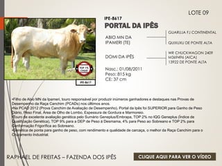 GUARUJA FJ CONTINENTAL 
QUIXUXU DE PONTE ALTA 
ABIO MN DA 
IPAMERI (TE) 
DOMI DA IPÊS 
Nasc.: 01/08/2011 
Peso: 815 kg 
CE: 37 cm 
WR CHUCKWAGON 2409 
M369496 (AICA) 
13922 DE PONTE ALTA 
IPE-8617 
LOTE 09 
IPE-8617 
TOP 1% 
CIIQUE 
•Filho de Abio MN da Ipameri, touro responsável por produzir inúmeros ganhadores e destaques nas Provas de 
Desempenho da Raça Canchim (PCADs) nos úlltimos anos. 
•Na PCAD 2012 (Prova Canchim de Avaliação de Desempenho), Portal da Ipês foi SUPERIOR para Ganho de Peso 
Diário, Peso Final, Área de Olho de Lombo, Espessura de Gordura e Marmoreio. 
•Touro de excelente avaliação genética pelo Sumário Geneplus/Embrapa, TOP 2% no IQG Geneplus (Índice de 
Qualificação Genética), TOP 9% para a DEP de Peso à Desmama, 4% para Peso ao Sobreano e TOP 2% para 
Conformação Frigorífica ao Sobreano. 
•Genética de ponta para ganho de peso, com rendimento e qualidade de carcaça, o melhor da Raça Canchim para o 
Cruzamento Industrial. 
RAPHAEL DE FREITAS – FAZENDA DOS IPÊS 
CLIQUE AQUI PARA VER O VÍDEO 
 