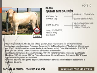 DOMI DA IPÊS 
Nasc.: 11/09/2012 
Peso: 610 kg 
CE: 35 cm 
13922 DE PONTE ALTA 
IPE-8746 
LOTE 10 
IPE-8746 
TOP 2% 
CIIQUE 
GUARUJA FJ CONTINENTAL 
QUIXUXU DE PONTE ALTA 
ABIO MN DA 
IPAMERI (TE) 
WR CHUCKWAGON 2409 
M369496 (AICA) 
•Touro mocho natural, filho de Abio MN da Ipameri, touro responsável por produzir inúmeros 
ganhadores e destaques nas Provas de Desempenho da Raça Canchim (PCADs) nos úlltimos anos. 
•Na PCAD 2013 (Prova Canchim de Avaliação de Desempenho), Qatar MN da Ipês foi SUPERIOR 
para Área de Olho de Lombo, Espessura de Gordura e Marmoreio. 
•Destaque pelo Sumário Geneplus/Embrapa, TOP 2% no IQG Geneplus (Índice de Qualificação 
Genética), TOP 4% para a DEP de Peso à Desmama, 3% para Peso ao Sobreano e TOP 2% para 
Conformação Frigorífica ao Sobreano. 
•Genética de ponta para ganho de peso, rendimento de carcaça, precocidade de acabamento e 
qualidade de carne. 
RAPHAEL DE FREITAS – FAZENDA DOS IPÊS 
CLIQUE AQUI PARA VER O VÍDEO 
 