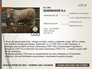 GERENTE MN DA ITAPEMA 
M-MA 16333 DE PONTE ALTA 
DANONE MN JM 
NESGA DA ILMA 
Nasc.: 31/10/2012 
Peso: 560 kg 
CE: 35 cm 
JARDIM DA ILMA 
BRIGITTE DA ILMA 
JSL-1302 
LOTE 25 
JSL-1302 
TOP 23% 
CIIQUE 
•Touro de pigmentação forte, umbigo corrigido, rústico e adaptado criado 100% a campo. 
•No Sumário Geneplus/Embrapa, Queimador S.J. é TOP 23% no IQG Geneplus, e 
destaque para as DEPs de Peso à Desmama (TOP 12%), Conformação Frigorífica à 
Desmama (TOP 7%) e Perímetro Escrotal à Desmama (TOP 0,1% - o melhor a cada 1000 
touros avaliados). 
•Avaliação genética TOP para as características de maior interesse no Cruzamento 
Industrial, com alta fertilidade, precocidade e velocidade de ganho de peso. 
JÚLIO SILVESTRE DE LIMA – FAZENDA SÃO JOAQUIM 
CLIQUE AQUI PARA VER O VÍDEO 
 