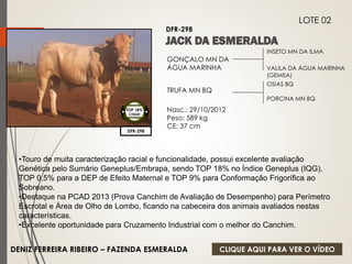 INSETO MN DA ILMA 
VALILA DA ÁGUA MARINHA 
(GEMEA) 
GONÇALO MN DA 
ÁGUA MARINHA 
TRUFA MN BQ 
Nasc.: 29/10/2012 
Peso: 589 kg 
CE: 37 cm 
OSIAS BQ 
PORCINA MN BQ 
DFR-298 
LOTE 02 
DFR-298 
TOP 18% 
CIIQUE 
•Touro de muita caracterização racial e funcionalidade, possui excelente avaliação 
Genética pelo Sumário Geneplus/Embrapa, sendo TOP 18% no Índice Geneplus (IQG), 
TOP 0,5% para a DEP de Efeito Maternal e TOP 9% para Conformação Frigorífica ao 
Sobreano. 
•Destaque na PCAD 2013 (Prova Canchim de Avaliação de Desempenho) para Perímetro 
Escrotal e Área de Olho de Lombo, ficando na cabeceira dos animais avaliados nestas 
características. 
•Excelente oportunidade para Cruzamento Industrial com o melhor do Canchim. 
DENIZ FERREIRA RIBEIRO – FAZENDA ESMERALDA 
CLIQUE AQUI PARA VER O VÍDEO 
 