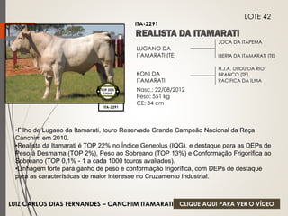 JOCA DA ITAPEMA 
IBERIA DA ITAMARATI (TE) 
LUGANO DA 
ITAMARATI (TE) 
KONI DA 
ITAMARATI 
Nasc.: 22/08/2012 
Peso: 551 kg 
CE: 34 cm 
H.J.A. DUDU DA RIO 
BRANCO (TE) 
PACIFICA DA ILMA 
ITA-2291 
LOTE 42 
ITA-2291 
TOP 22% 
CIIQUE 
•Filho de Lugano da Itamarati, touro Reservado Grande Campeão Nacional da Raça 
Canchim em 2010. 
•Realista da Itamarati é TOP 22% no Índice Geneplus (IQG), e destaque para as DEPs de 
Peso à Desmama (TOP 2%), Peso ao Sobreano (TOP 13%) e Conformação Frigorífica ao 
Sobreano (TOP 0,1% - 1 a cada 1000 touros avaliados). 
•Linhagem forte para ganho de peso e conformação frigorífica, com DEPs de destaque 
para as características de maior interesse no Cruzamento Industrial. 
LUIZ CARLOS DIAS FERNANDES – CANCHIM ITAMARATI 
CLIQUE AQUI PARA VER O VÍDEO 
 
