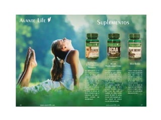 Catálogo da avante life 2017