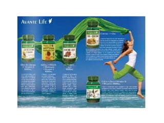 Catálogo da avante life 2017