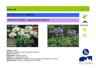 Catálogo de plantas de jardín (1)
