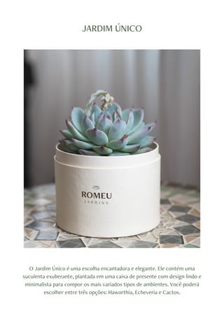JARDIM ÚNICO
O Jardim Único é uma escolha encantadora e elegante. Ele contém uma
suculenta exuberante, plantada em uma caixa de presente com design lindo e
minimalista para compor os mais variados tipos de ambientes. Você poderá
escolher entre três opções: Haworthia, Echeveria e Cactos.
 