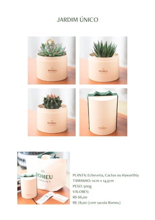 JARDIM ÚNICO
PLANTA: Echeveria, Cactos ou Haworthia
TAMANHO: 11cm x 14,5cm
PESO: 500g
VALORES:
R$ 66,00
R$ 78,00 (com sacola Romeu)
 