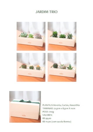 JARDIM TRIO
PLANTA: Echeveria, Cactos, Haworthia
TAMANHO: 21,5cm x 8,5cm X 11cm
PESO: 700g
VALORES:
R$ 99,00
R$ 111,00 (com sacola Romeu)
 