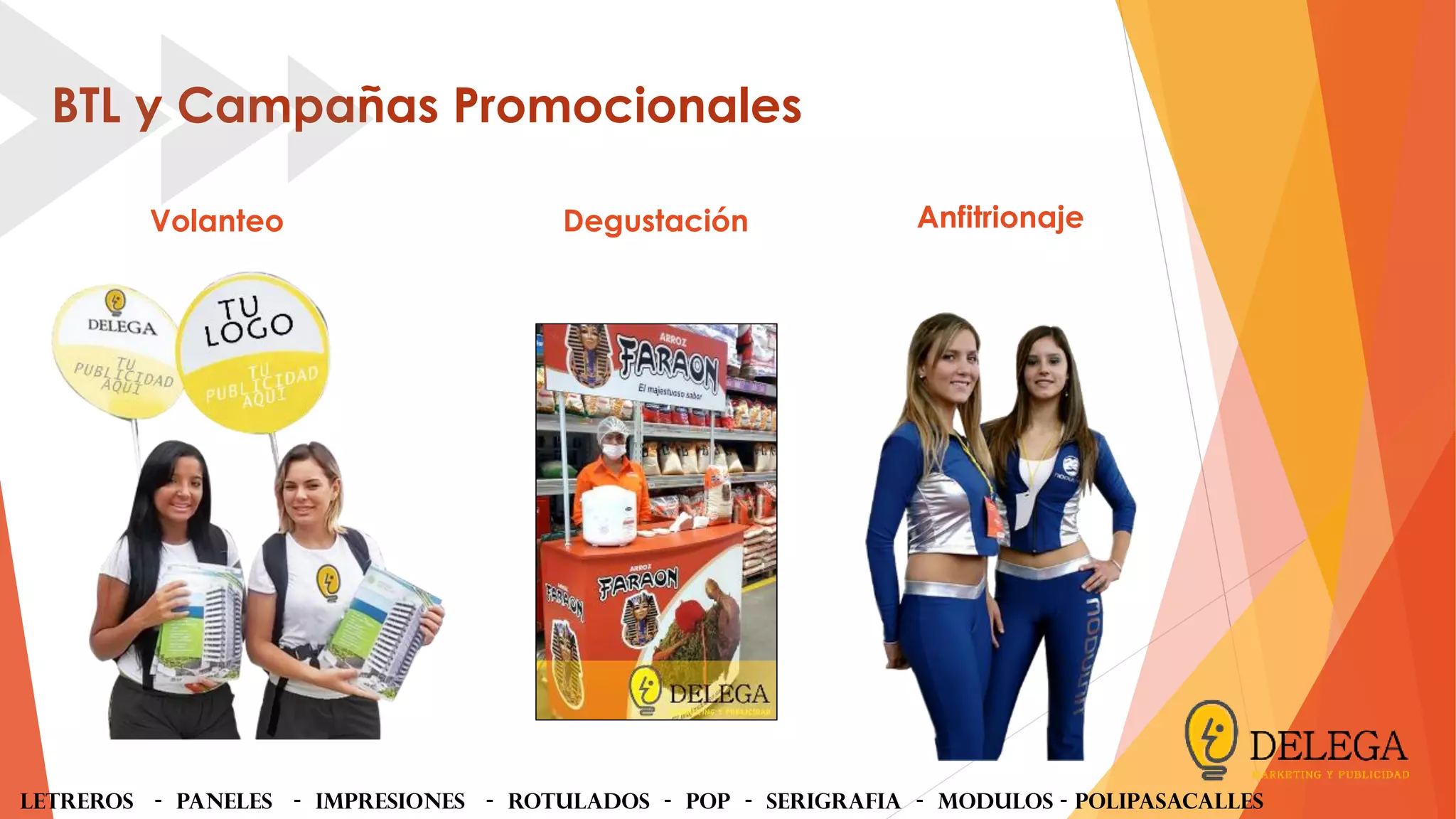 delega simple pdf peru en español