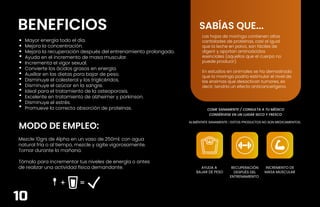 BENEFICIOS
MODO DE EMPLEO:
Mezcle 10grs de Alpha en un vaso de 250ml. con agua
natural fría o al tiempo, mezcle y agite vigorosamente.
Tomar durante la mañana.
Tómalo para incrementar tus niveles de energía o antes
de realizar una actividad física demandante.
+ =
Mayor energía todo el día.
Mejora la concentración.
Mejora la recuperación después del entrenamiento prolongado.
Ayuda en el incremento de masa muscular.
Incrementa el vigor sexual.
Convierte los ácidos grasos en energía.
Auxiliar en las dietas para bajar de peso.
Disminuye el colesterol y los triglicéridos.
Disminuye el azúcar en la sangre.
Ideal para el tratamiento de la osteoporosis.
Excelente en tratamiento de alzheimer y parkinson.
Disminuye el estrés.
Promueve la correcta absorción de proteínas.
ALIMÉNTATE SANAMENTE / ESTOS PRODUCTOS NO SON MEDICAMENTOS.
COME SANAMENTE / CONSULTA A TU MÉDICO
CONSÉRVESE EN UN LUGAR SECO Y FRESCO
Las hojas de moringa contienen altas
cantidades de proteínas, casi al igual
que la leche en polvo, son fáciles de
digerir y aportan aminoácidos
esenciales (aquellos que el cuerpo no
puede producir).
En estudios en animales se ha demostrado
que la moringa podría estimular el nivel de
las enzimas que desactivan tumores, es
decir, tendría un efecto anticancerígeno.
SABÍAS QUE...
AYUDA A
BAJAR DE PESO
RECUPERACIÓN
DESPUÉS DEL
ENTRENAMIENTO
INCREMENTO DE
MASA MUSCULAR
10
 
