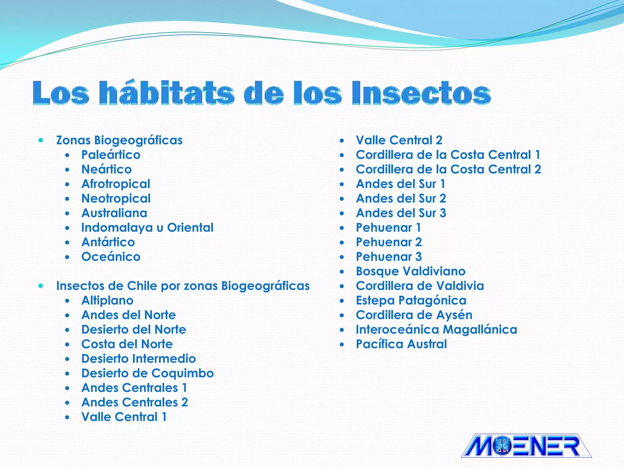 Catálogo general exposición insectos de chile y el mundo | PDF