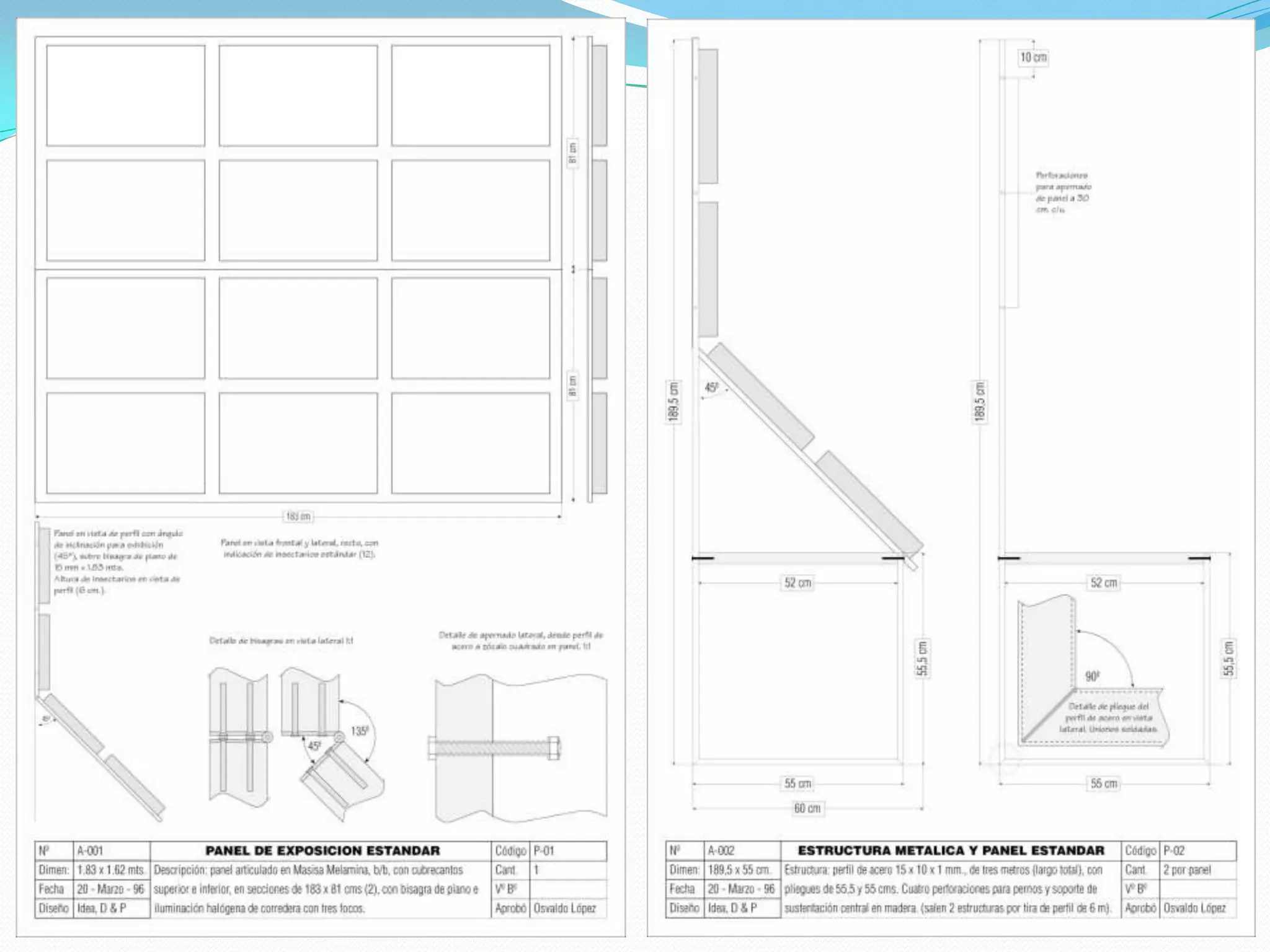 Catálogo general exposición insectos de chile y el mundo | PDF