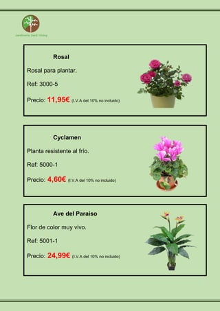 Rosal
Rosal para plantar.
Ref: 3000-5
Precio: 11,95€ (I.V.A del 10% no incluido)
Cyclamen
Planta resistente al frío.
Ref: 5000-1
Precio: 4,60€ (I.V.A del 10% no incluido)
Ave del Paraiso
Flor de color muy vivo.
Ref: 5001-1
Precio: 24,99€ (I.V.A del 10% no incluido)
 