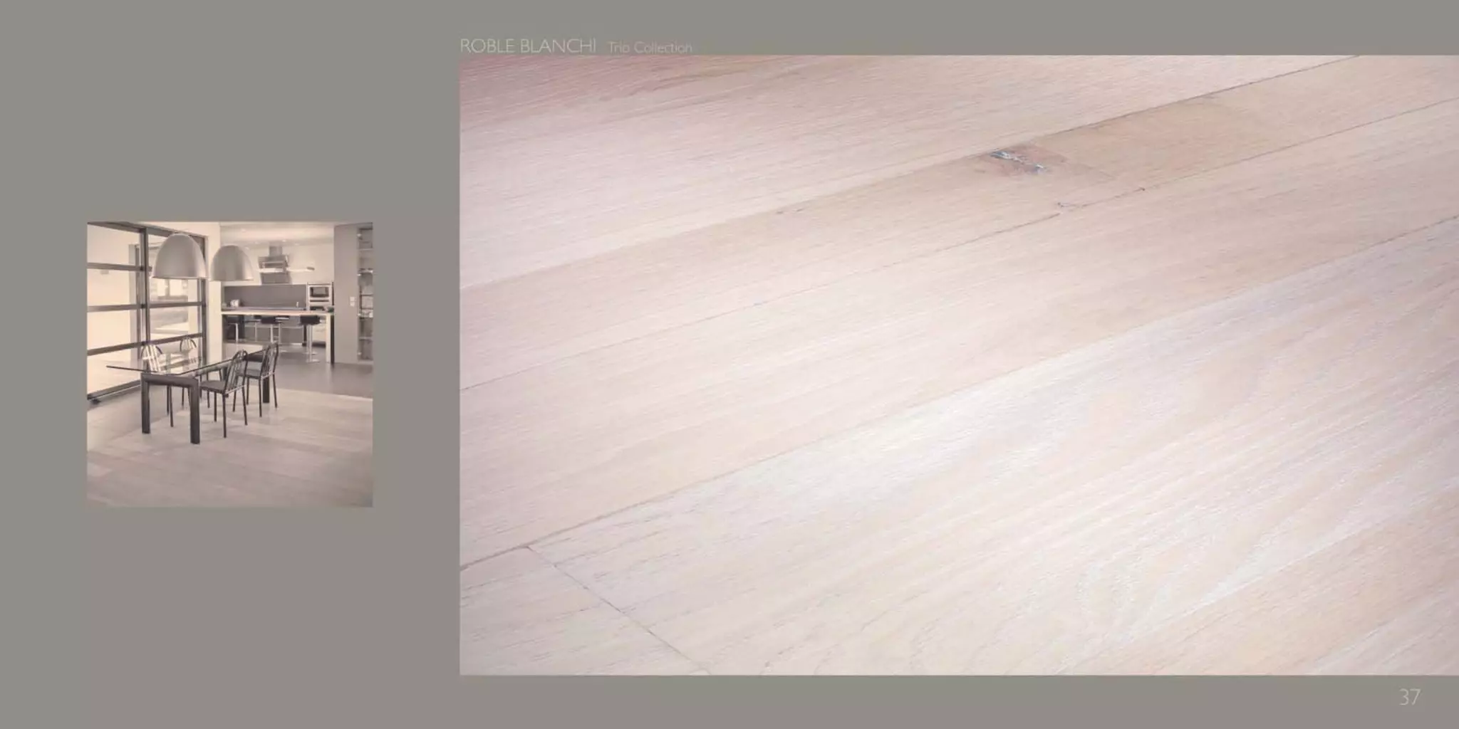 Catálogo Marty Madrid Forest