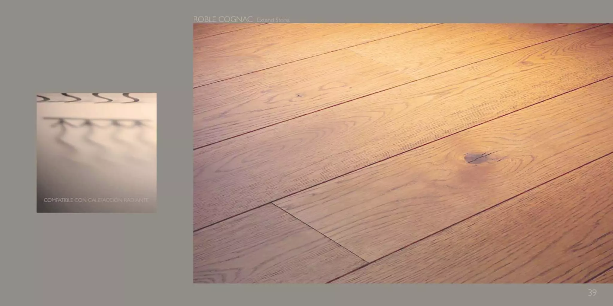 Catálogo Marty Madrid Forest