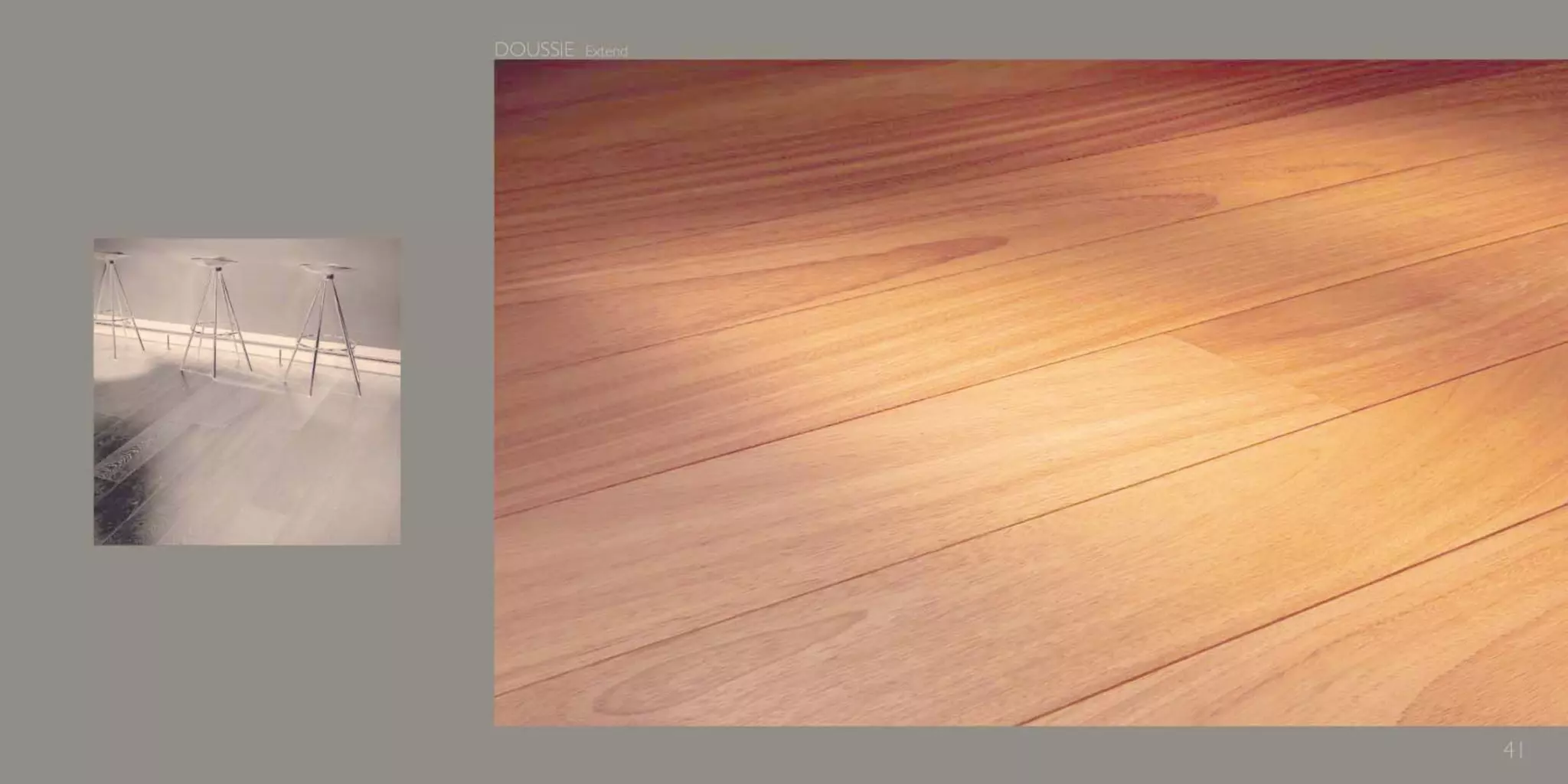 Catálogo Marty Madrid Forest