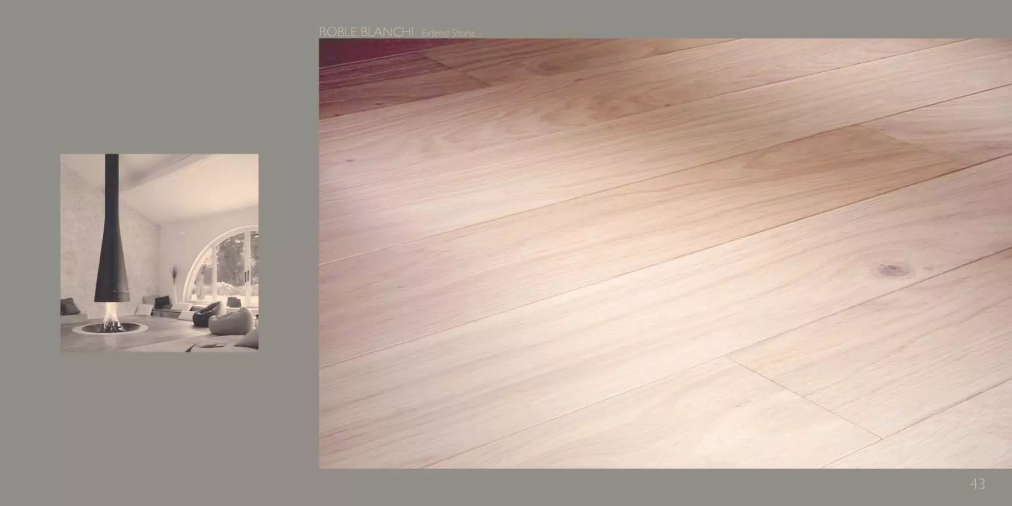 Catálogo Marty Madrid Forest