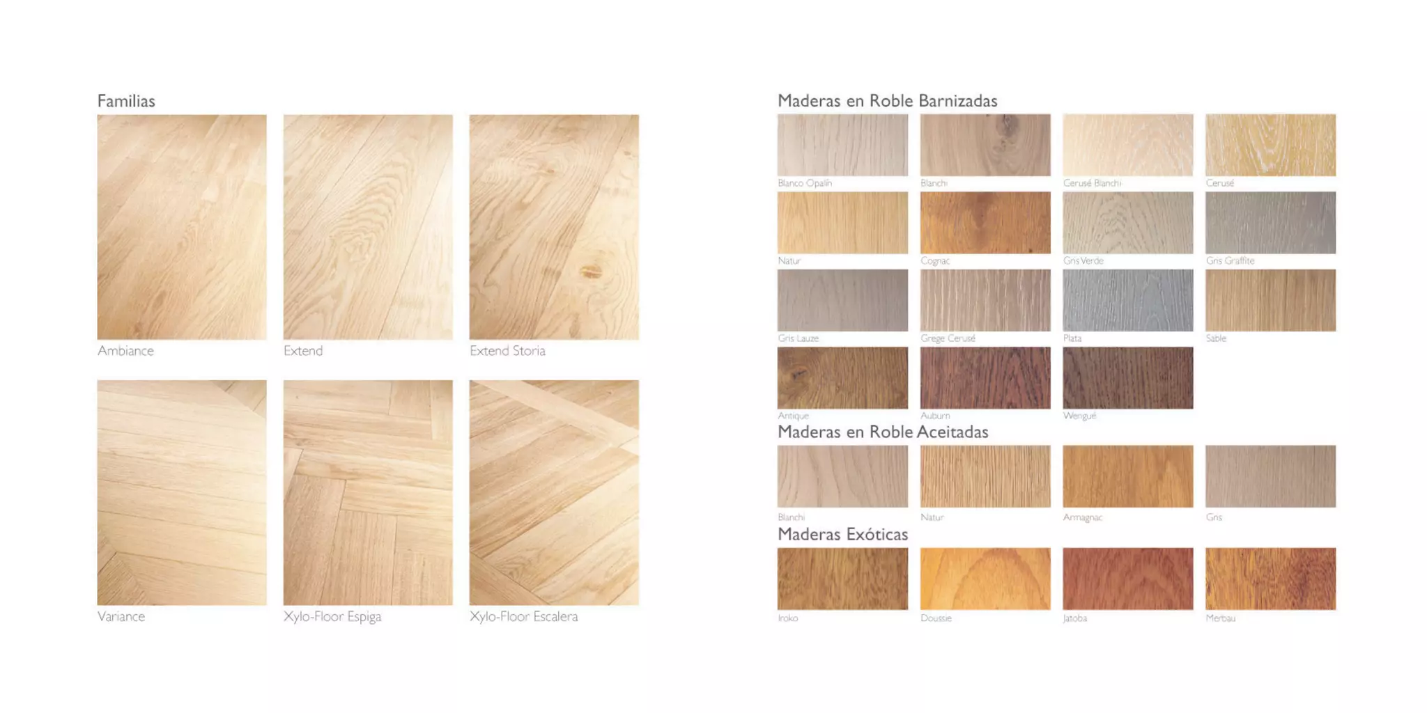 Catálogo Marty Madrid Forest