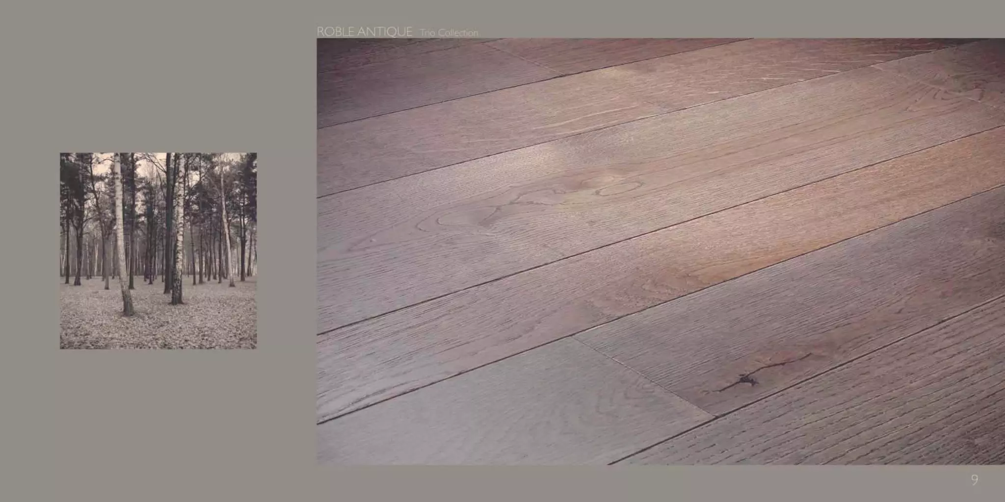 Catálogo Marty Madrid Forest