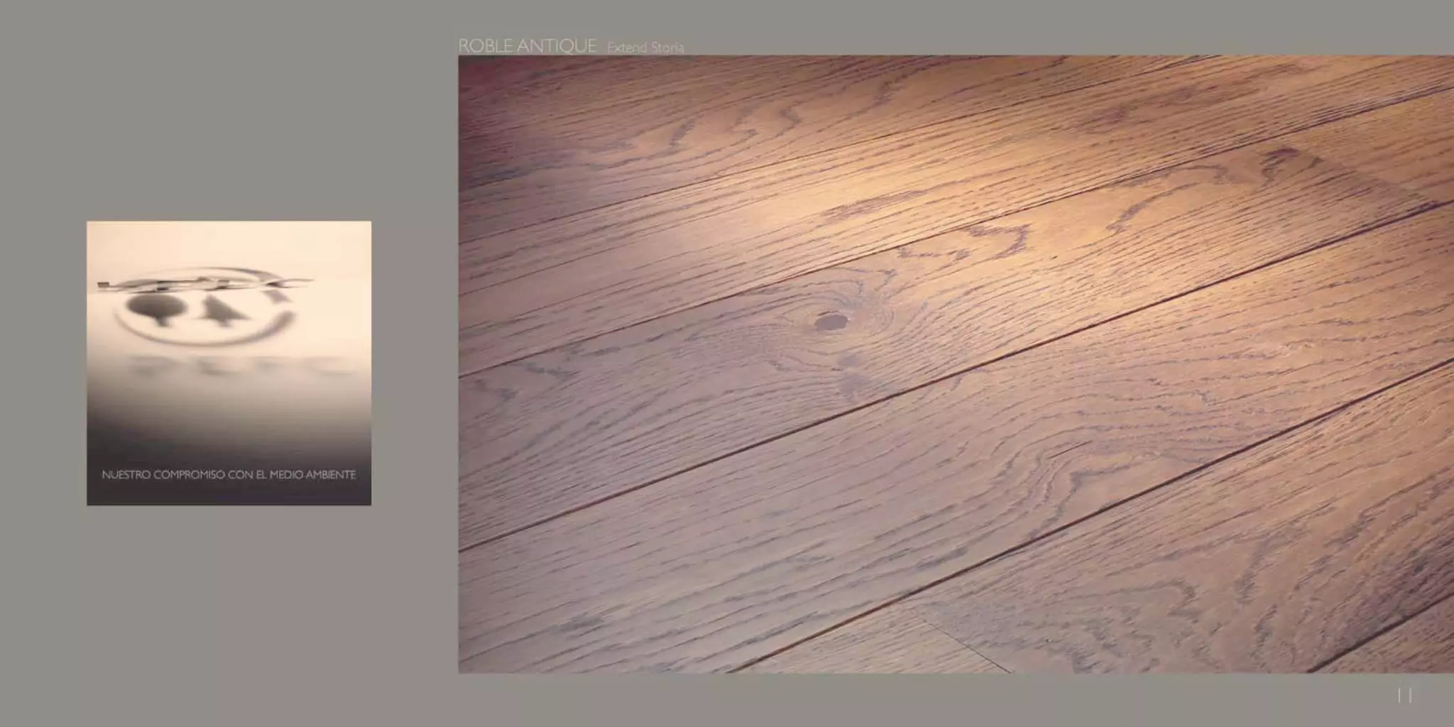 Catálogo Marty Madrid Forest