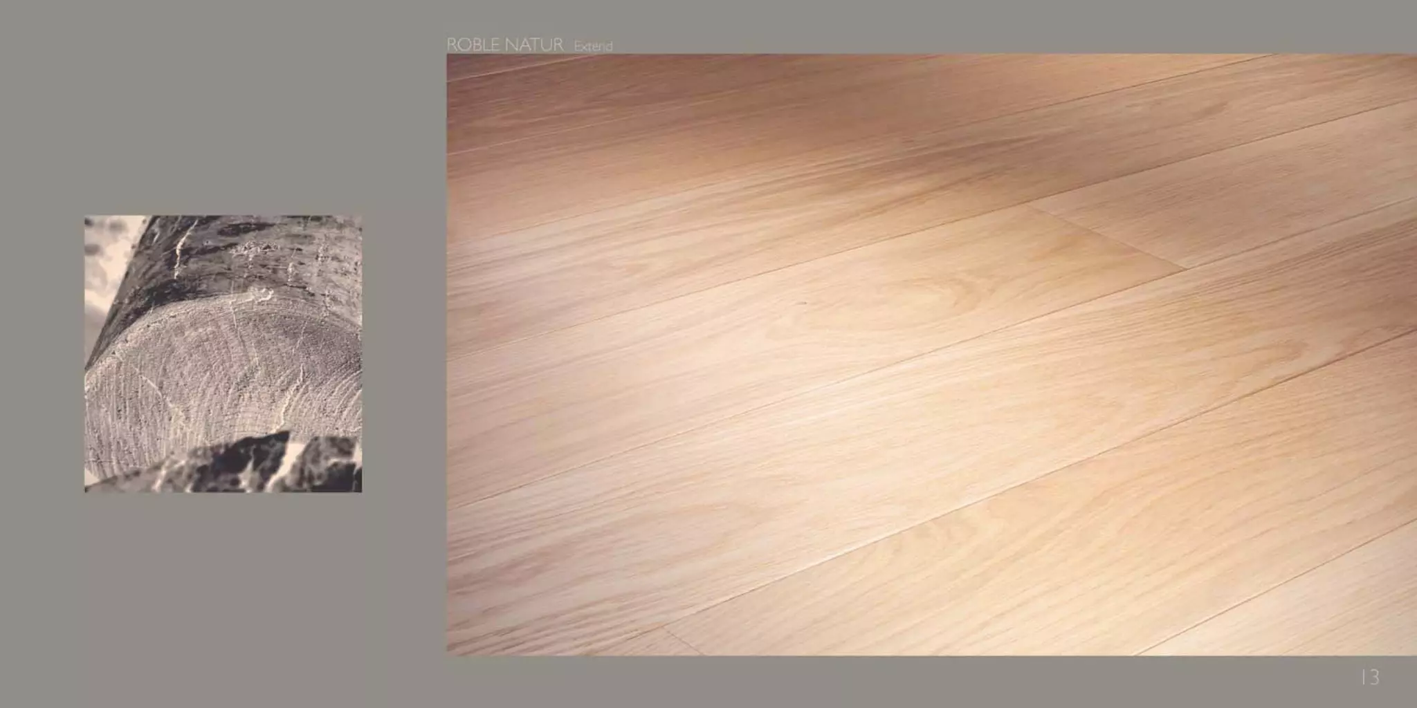 Catálogo Marty Madrid Forest