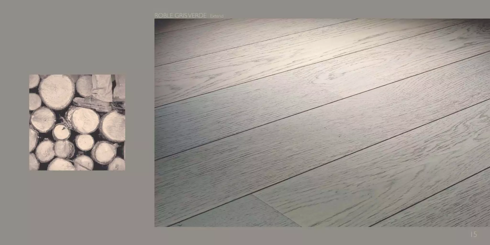 Catálogo Marty Madrid Forest