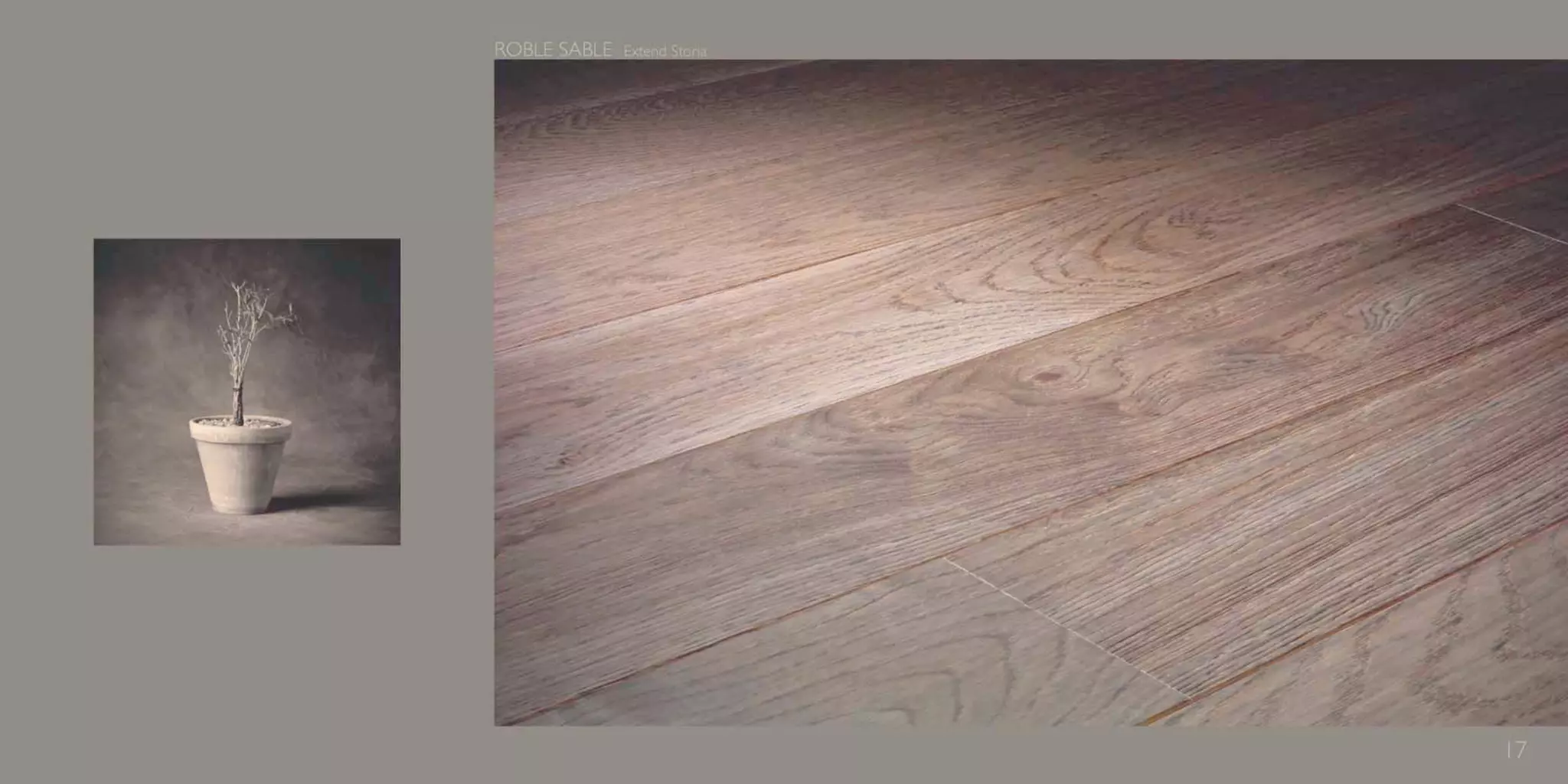 Catálogo Marty Madrid Forest